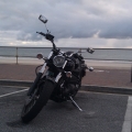 v-star