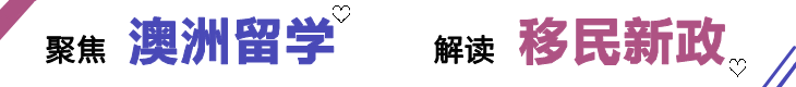 专家解析版【政策解析 专家分析】