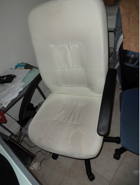 ��ɫ�˼ҵ�����