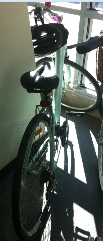 ������Ůʽ���г�