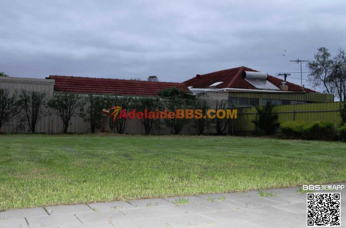 #�����ѵ� ��ֵ�÷�#��������˫ש���� ���� ��ȫ ���� ���� ���� ���������� ��������-21.jpg