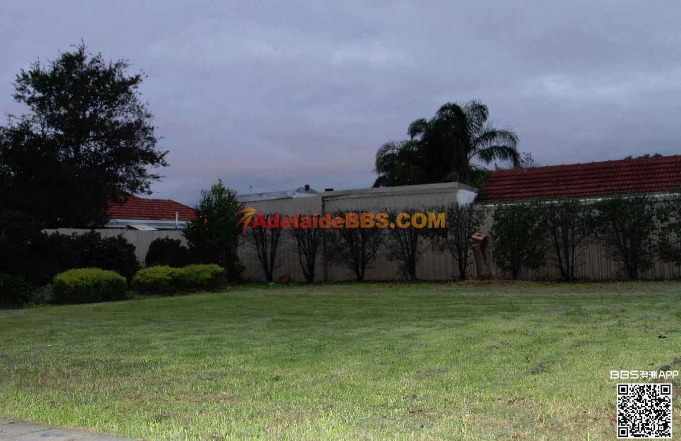 #�����ѵ� ��ֵ�÷�#��������˫ש���� ���� ��ȫ ���� ���� ���� ���������� ��������-20.jpg