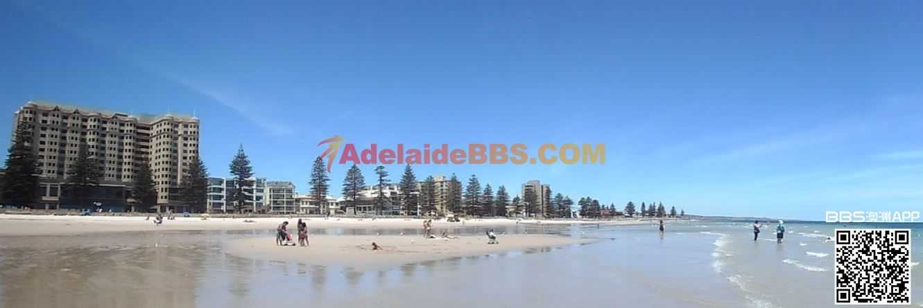 #�����ѵ� ��ֵ�÷�#��������˫ש���� ���� ��ȫ ���� ���� ���� ���������� ��������-25.jpg