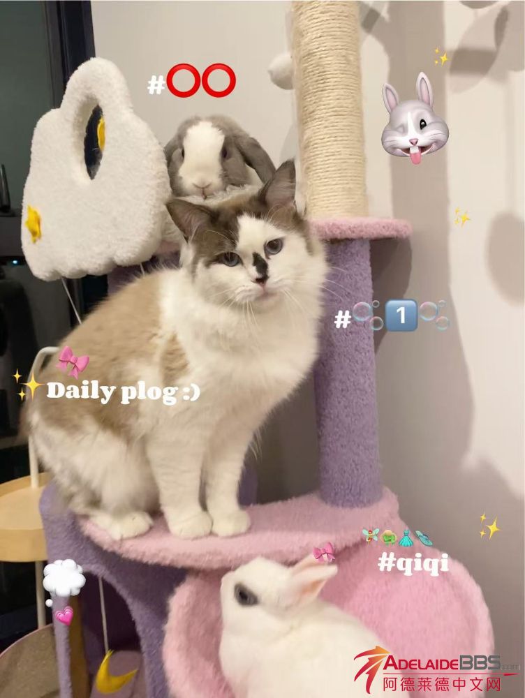 22F6082E-DE59-4C11-8A9C-C4B4404A057F.jpeg
