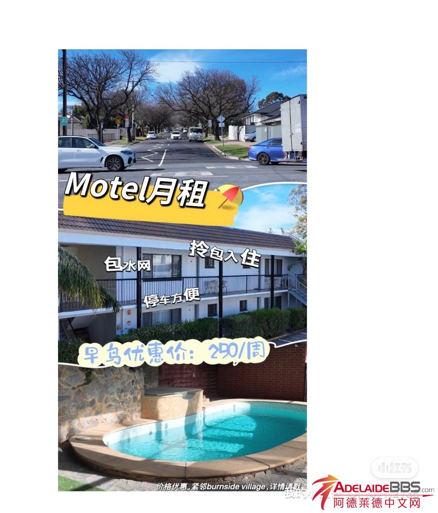 IMG_4800.jpeg