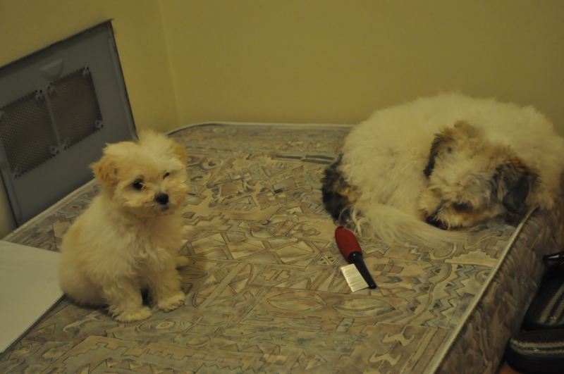 DSC_3567.JPG