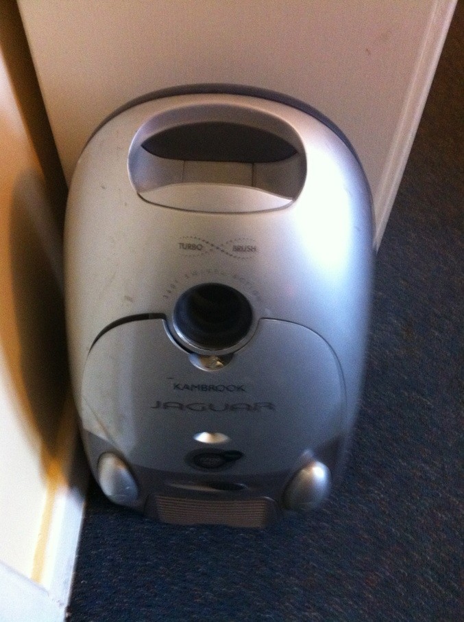 �ų���������