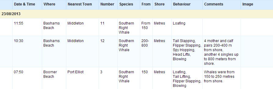 Sighting Log Archives