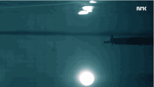 11973252445b11c5f048f2f17cbe4de2.gif