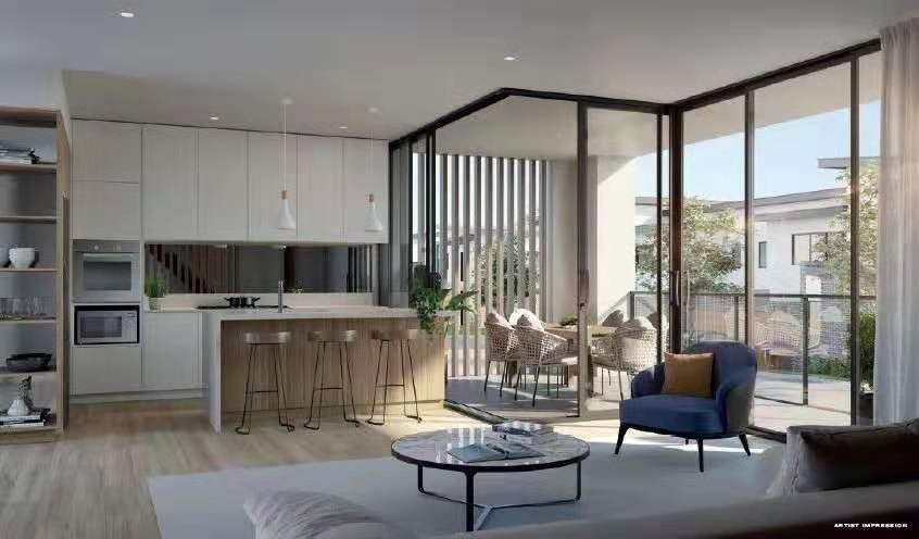 Pellicano���� 4.jpg