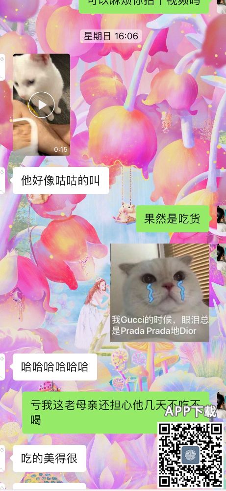 91B8DF54-E61B-4E9D-8756-2C5B8ABD449D.jpeg