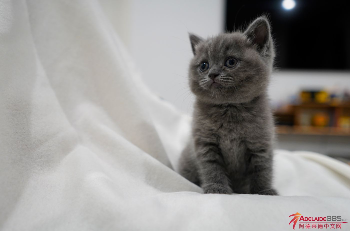 WeChat Screenshot_20230420165737.png