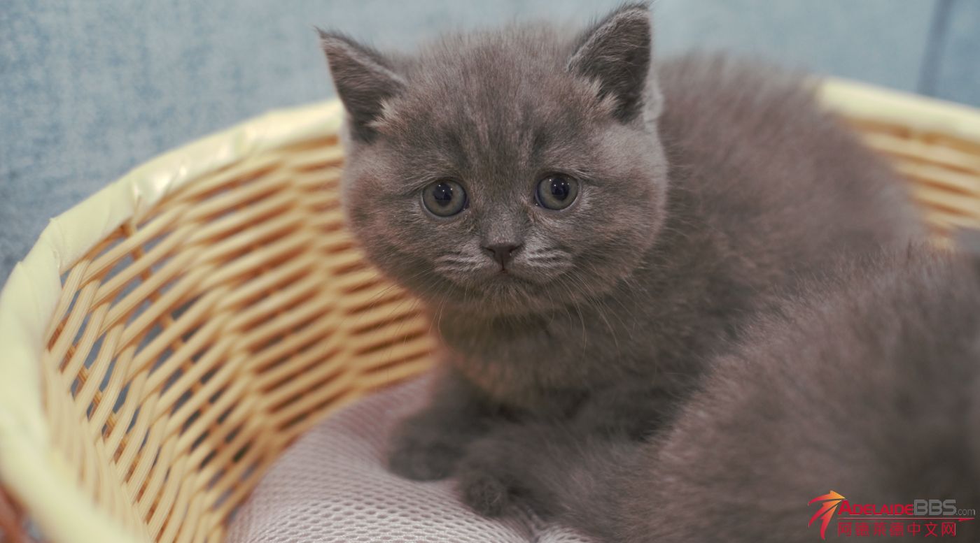 WeChat Screenshot_20230420203353.png