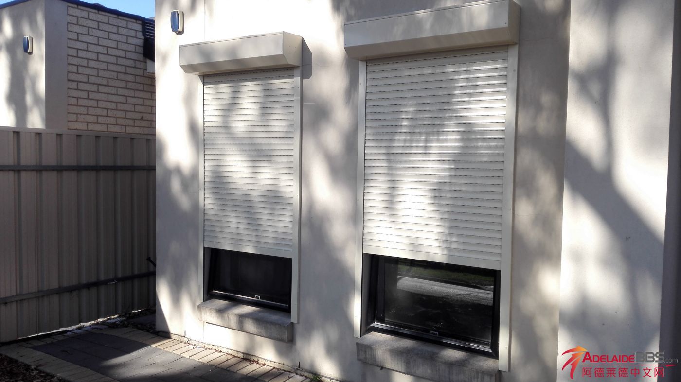 �����ҵ綯��