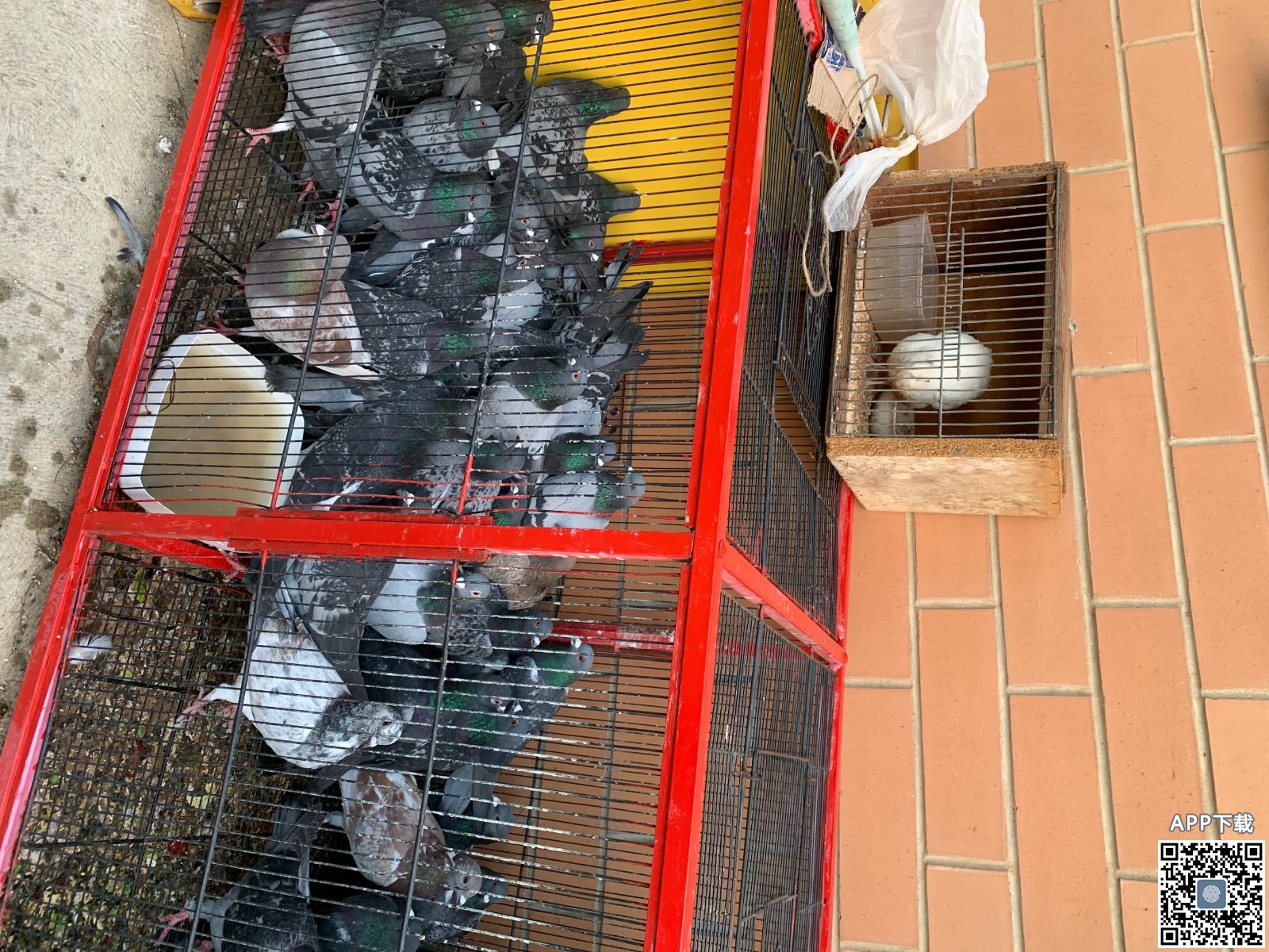 ���ֻ��ϴ�