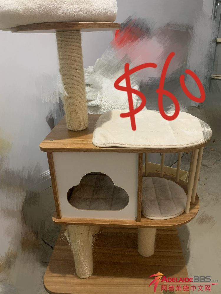 3D4416FC-828F-4F82-9F24-C4D18BF0C0D2.jpeg